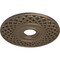 Ekena Millwork Robin Ceiling Medallion (Fits Canopies up to 6 1/4"), 22 1/4"OD x 4 3/4"ID x 1 1/4"P, Warm Silver CM22RBWSS - alternate 4